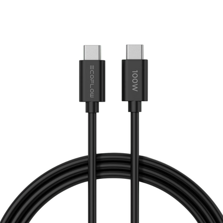 Cargador GaN EcoFlow Carga Rapida 65 W USB-C / USB-A